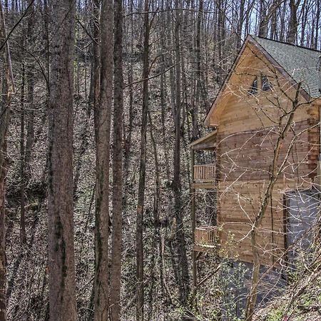 The Phoenix Cabin With Hot Tub In Gatlinburg! Exterior foto